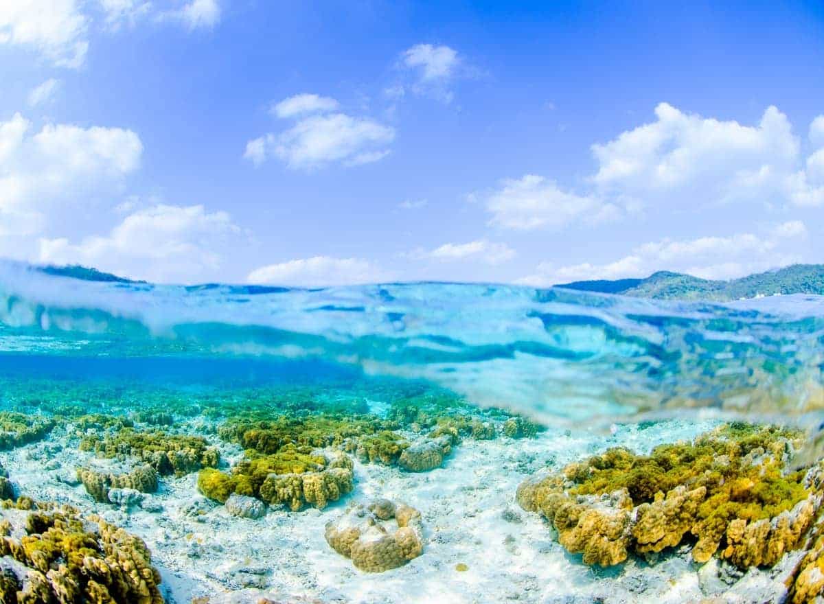 ダイビングスクール 沖縄。SFD沖縄店。